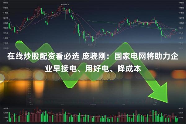 在线炒股配资看必选 庞骁刚：国家电网将助力企业早接电、用好电、降成本